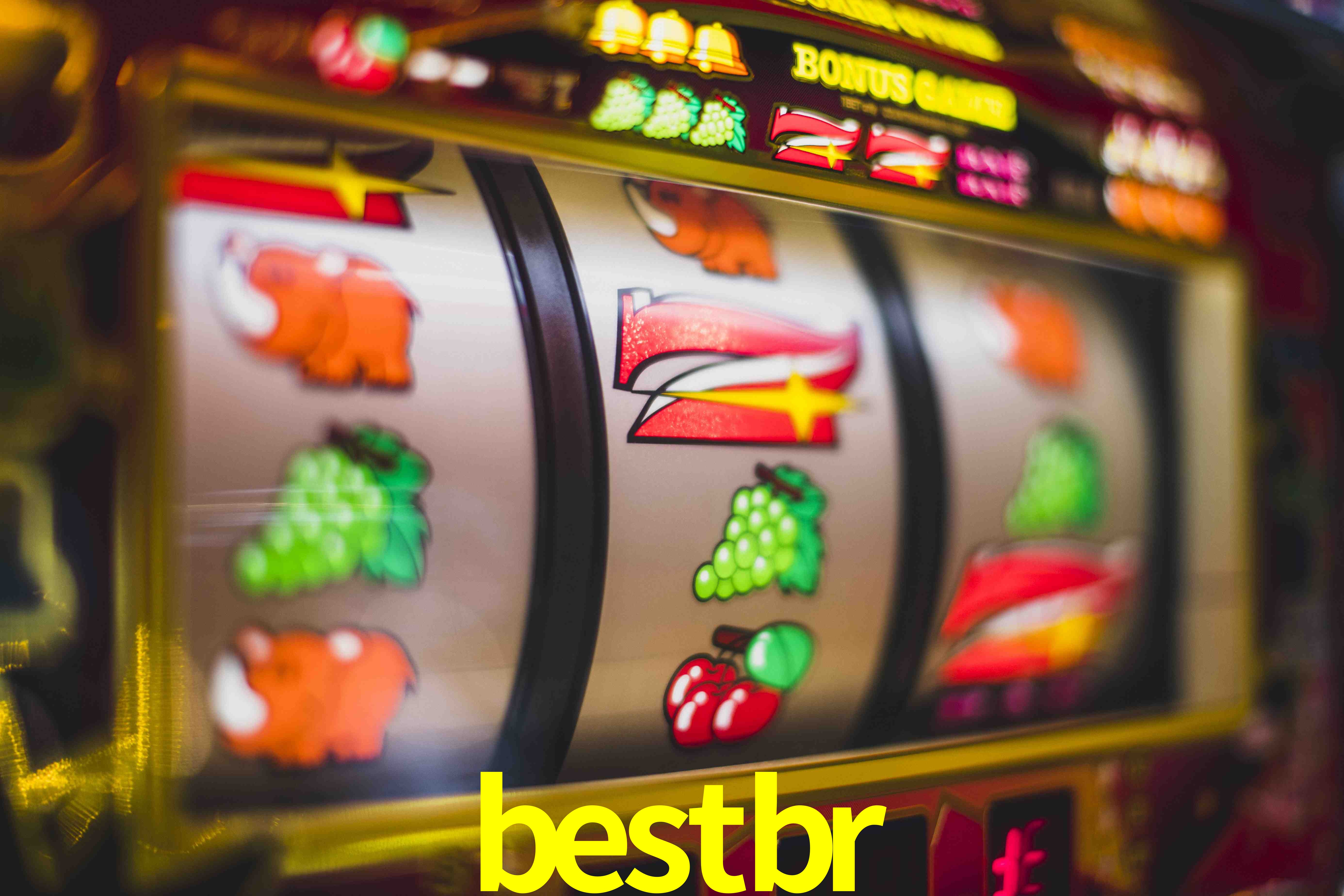 Sports Statistics bestbr